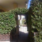 IMG_20170310_101632 (FILEminimizer)